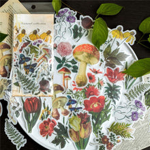 Load image into Gallery viewer, (8 types) DIY Natural Plant Series Decor Stickers &lt;60 PCS&gt;